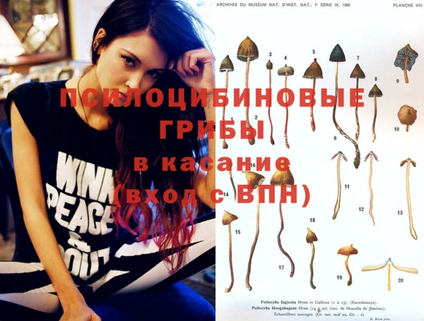 ГАЛЛЮЦИНОГЕННЫЕ ГРИБЫ Лихославль