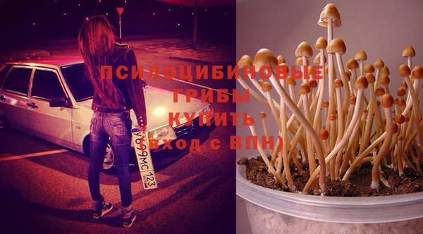 ГАЛЛЮЦИНОГЕННЫЕ ГРИБЫ Лихославль