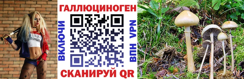 Галлюциногенные грибы MAGIC MUSHROOMS  ссылка на мегу как войти  Южно-Сухокумск  как найти  